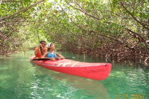 Kayak Nature Tour